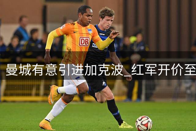 曼城有意引进加克波 红军开价至少7000万英镑